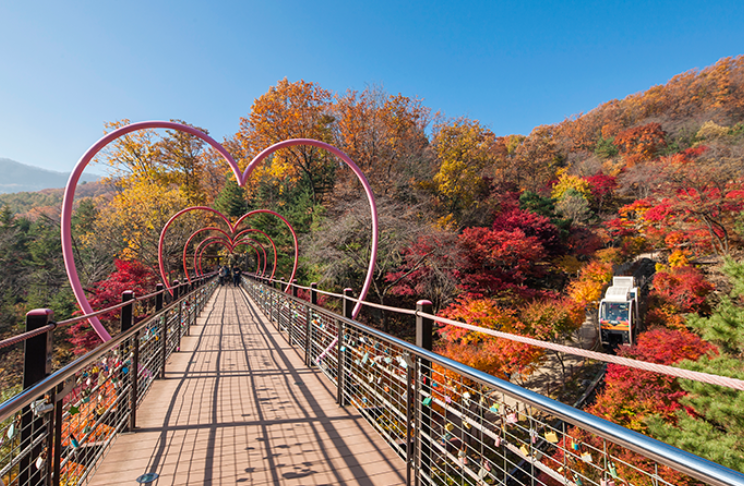 곤지암화담숲 단풍당일
