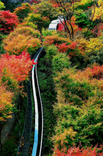 곤지암화담숲 단풍당일