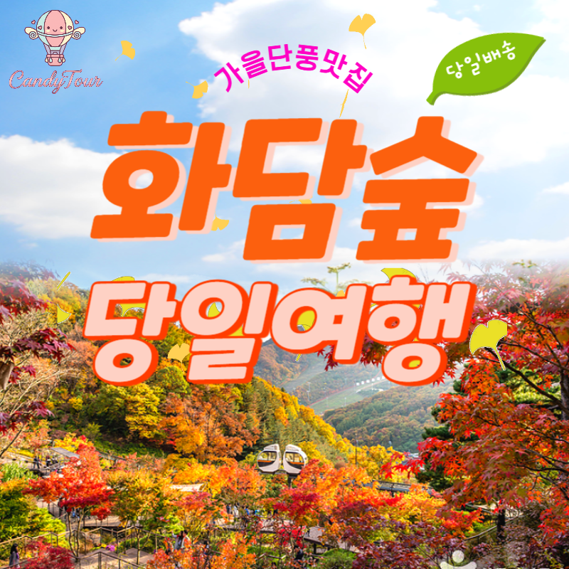 곤지암화담숲 단풍당일