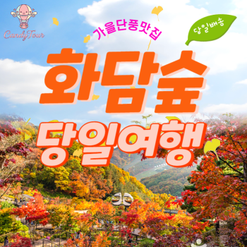 곤지암화담숲 단풍당일