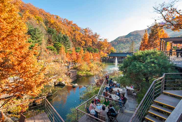 곤지암화담숲 단풍당일