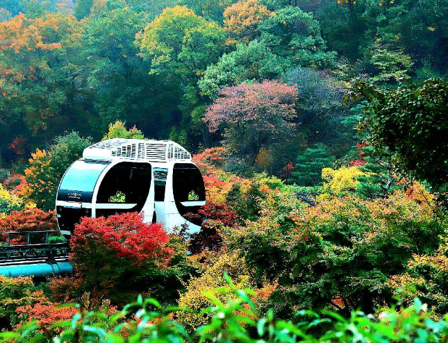 곤지암화담숲 단풍당일