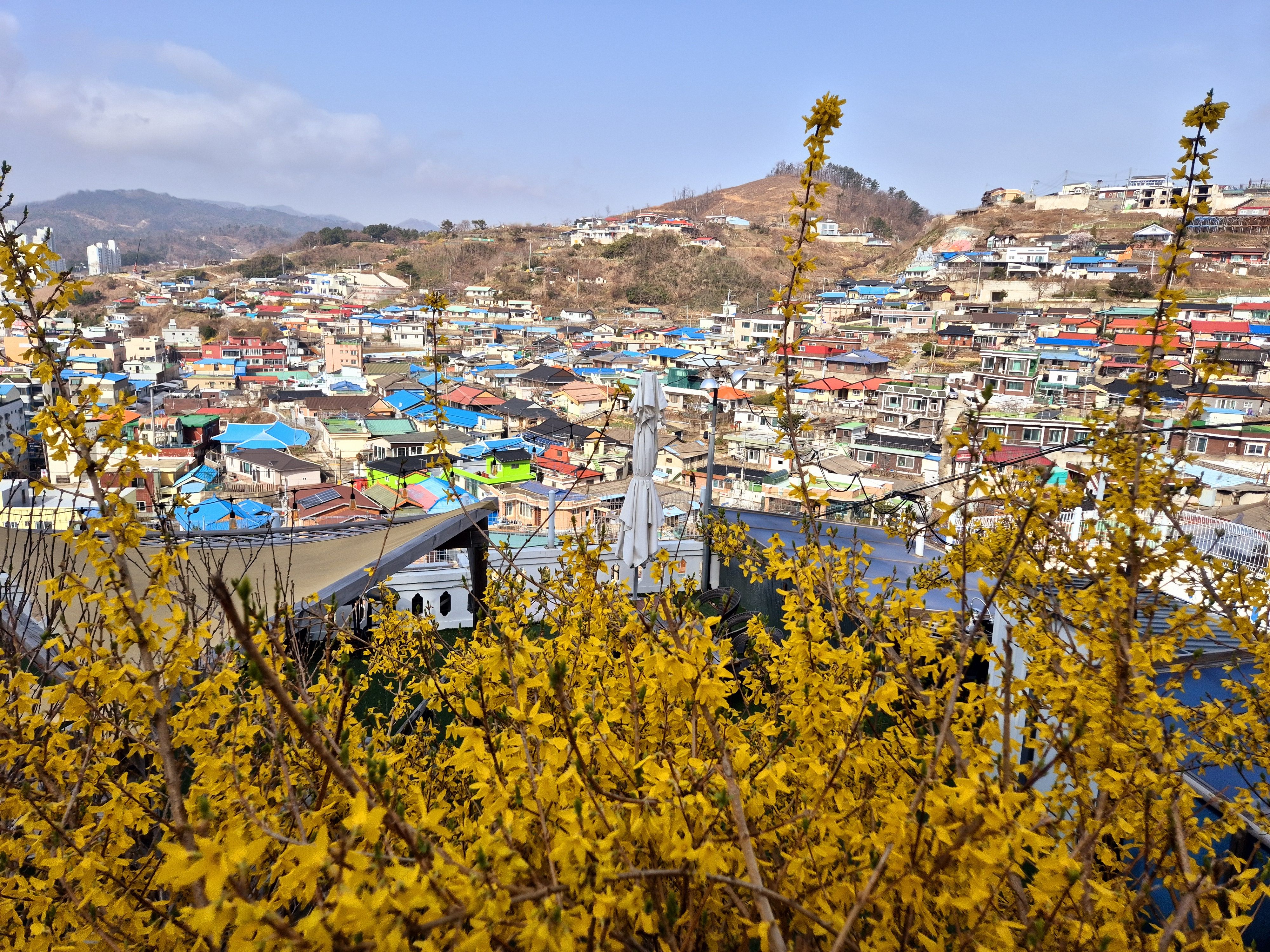👑동해+강릉+대관령 1박2일👑
