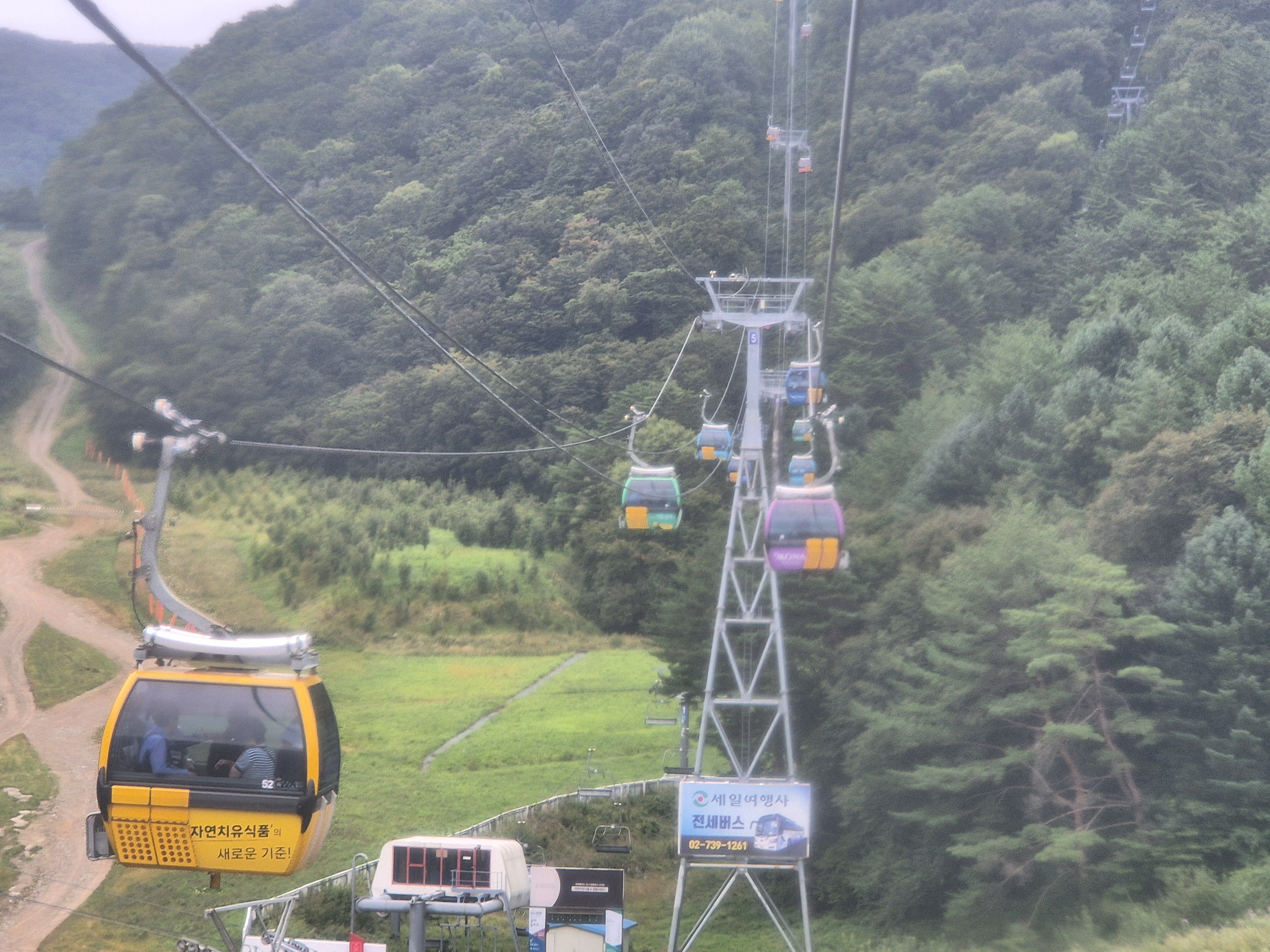 👑동해+강릉+대관령 1박2일👑