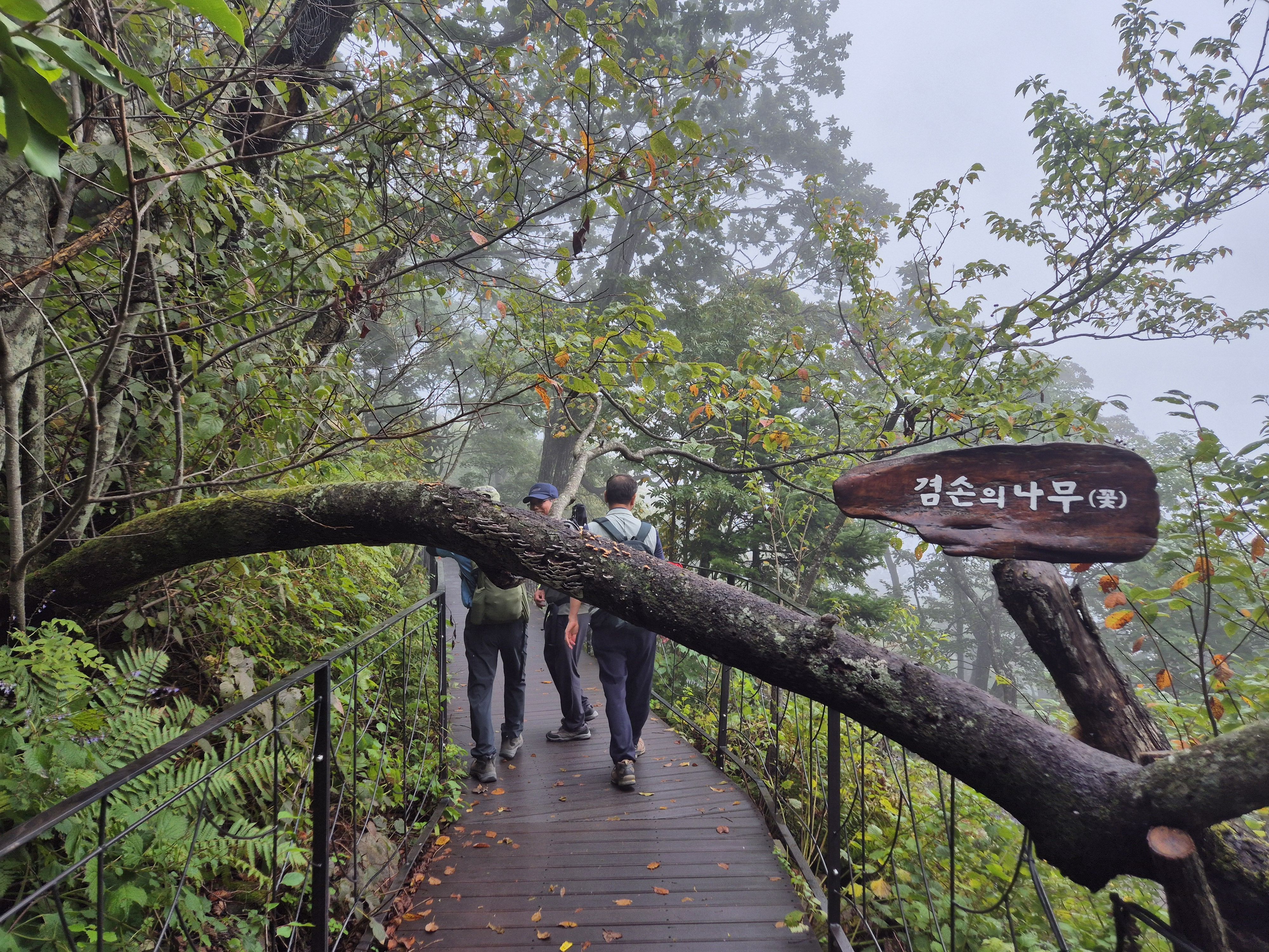 👑동해+강릉+대관령 1박2일👑