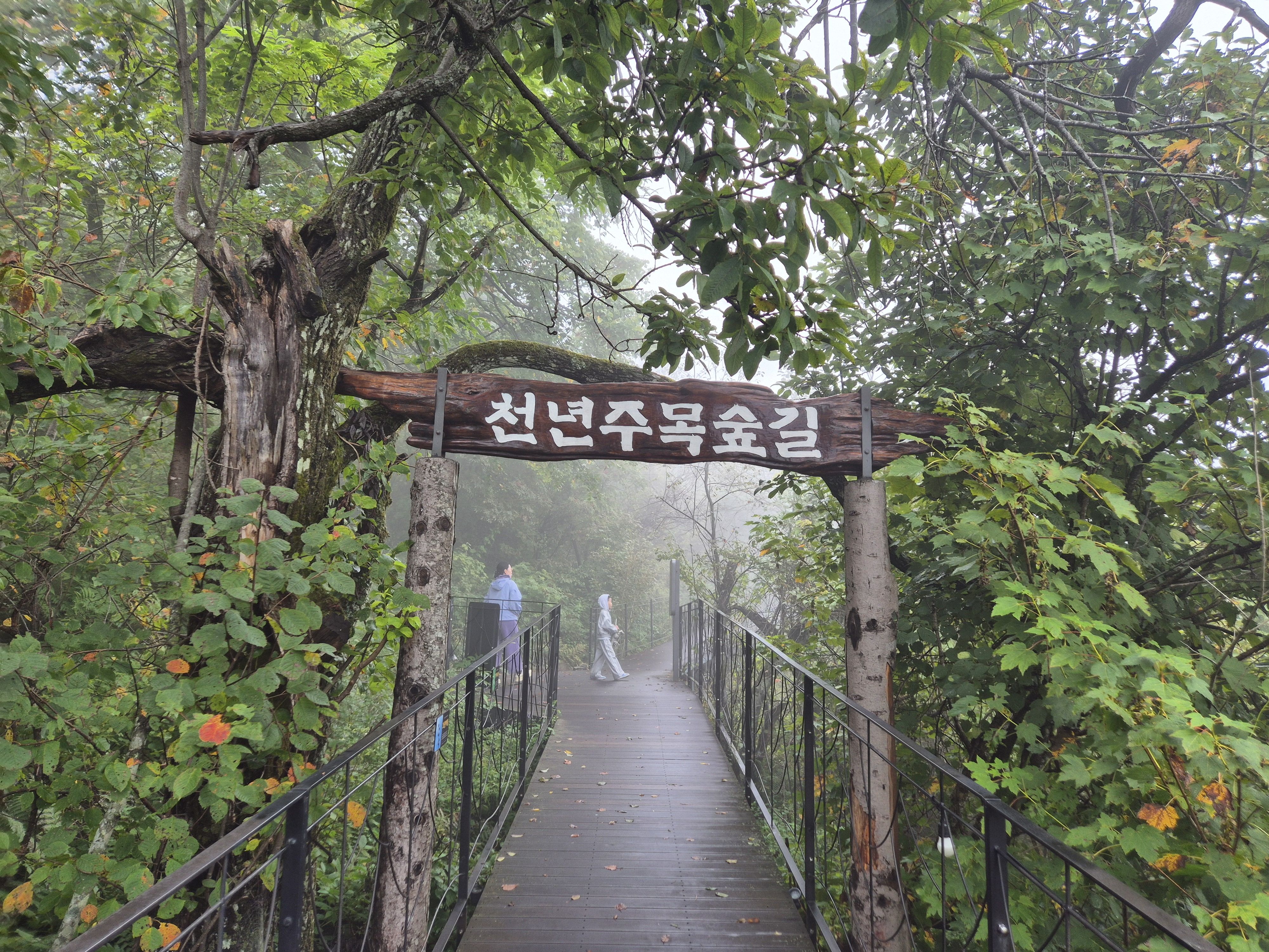 👑동해+강릉+대관령 1박2일👑