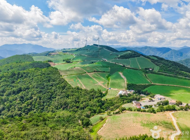 👑동해+강릉+대관령 1박2일👑