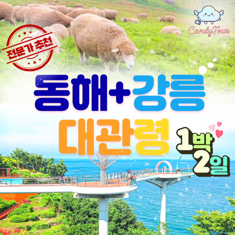 👑동해+강릉+대관령 1박2일👑