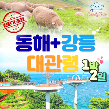 👑동해+강릉+대관령 1박2일👑