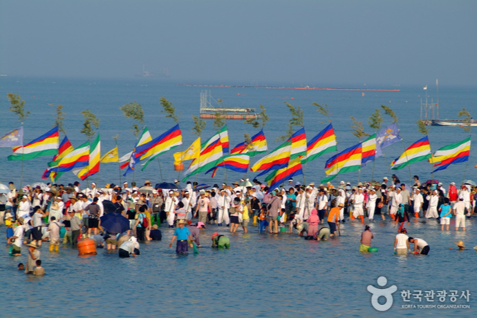 진도신비의바닷길축제 당일여행