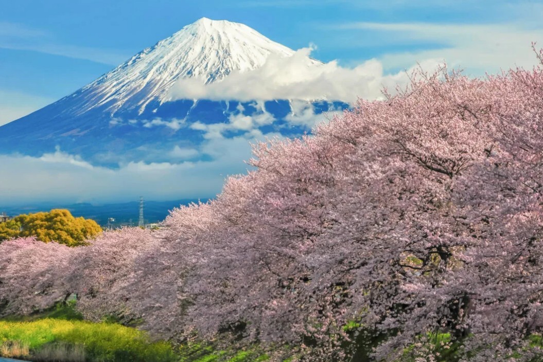 시즈오카 3일/4일 일본소도시여행 부산출발 에어부산