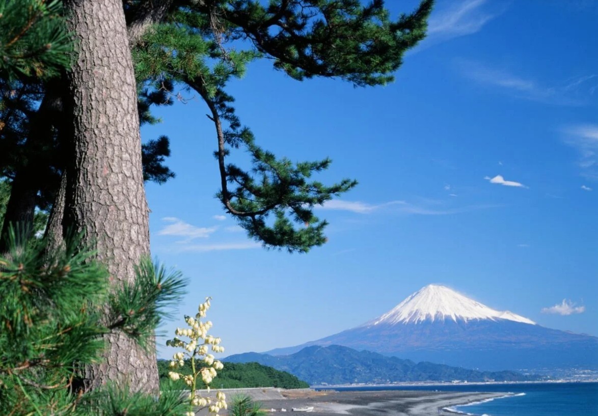 시즈오카 3일/4일 일본소도시여행 부산출발 에어부산