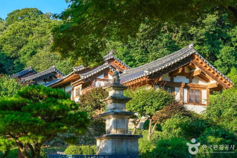 영주 한국선비문화축제 당일여행