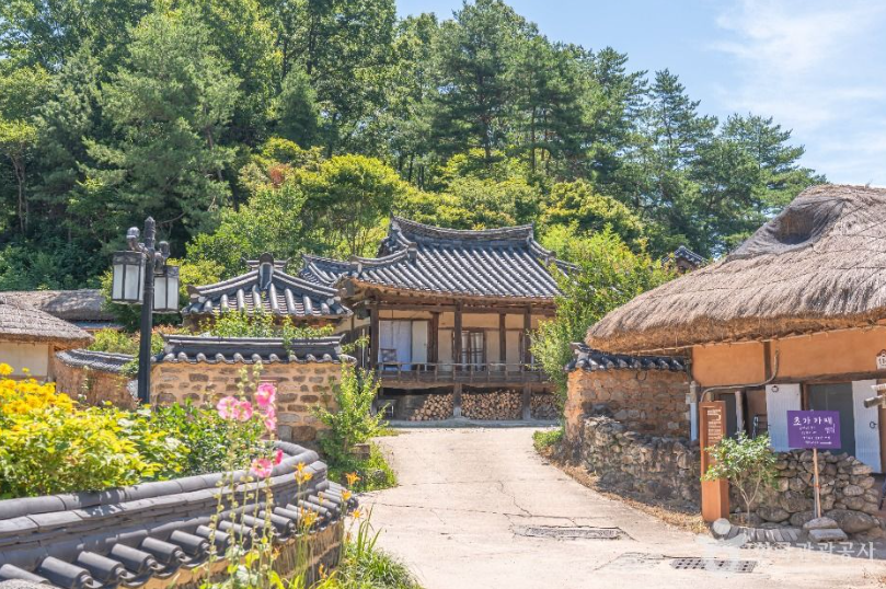 영주 한국선비문화축제 당일여행