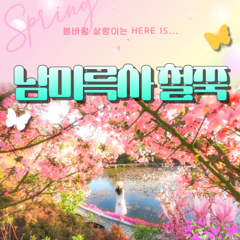 남미륵사 서부해당화 봄꽃축제