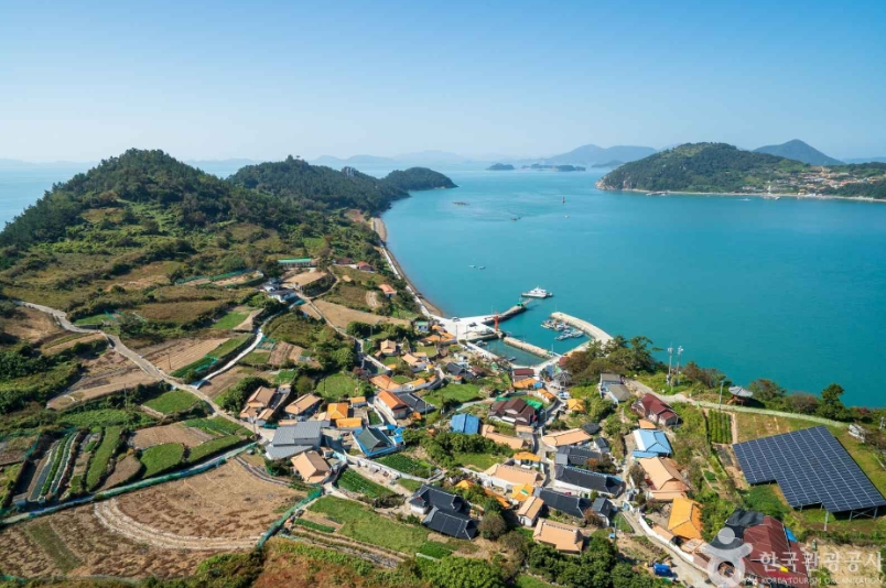 여수하화도봄꽃트래킹당일🌷☘️