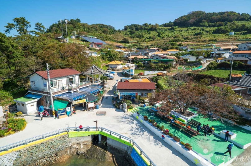 여수하화도봄꽃트래킹당일🌷☘️