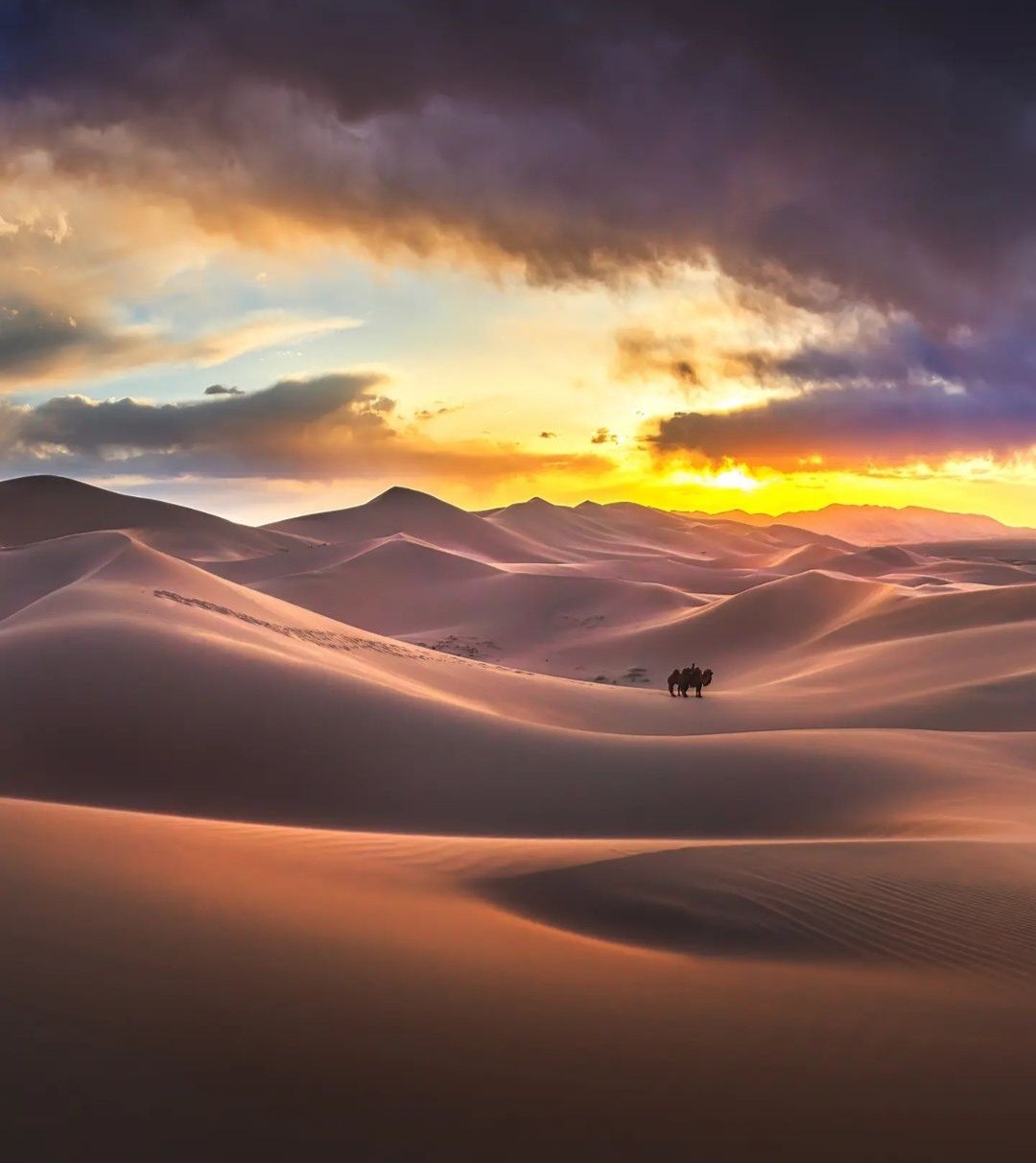 광할한 대초원과 황금빛 사막 몽골 노팁노옵션노쇼핑 3박/4박 패키지여행