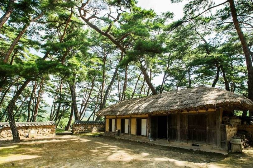 여수하화도봄꽃트래킹당일🌷☘️