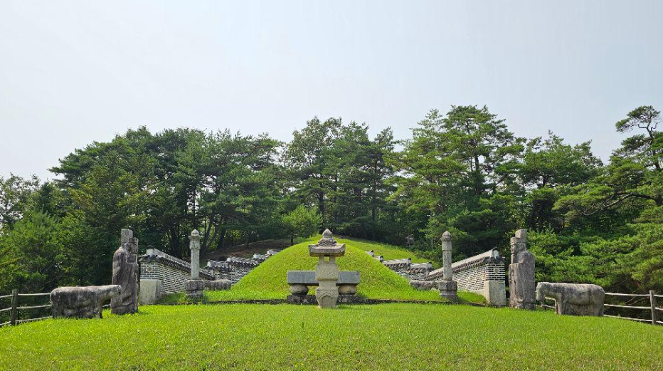 여수하화도봄꽃트래킹당일🌷☘️