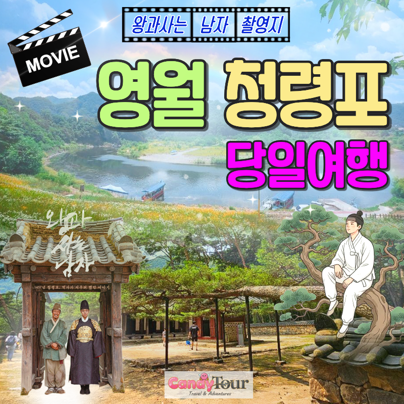 여수하화도봄꽃트래킹당일🌷☘️