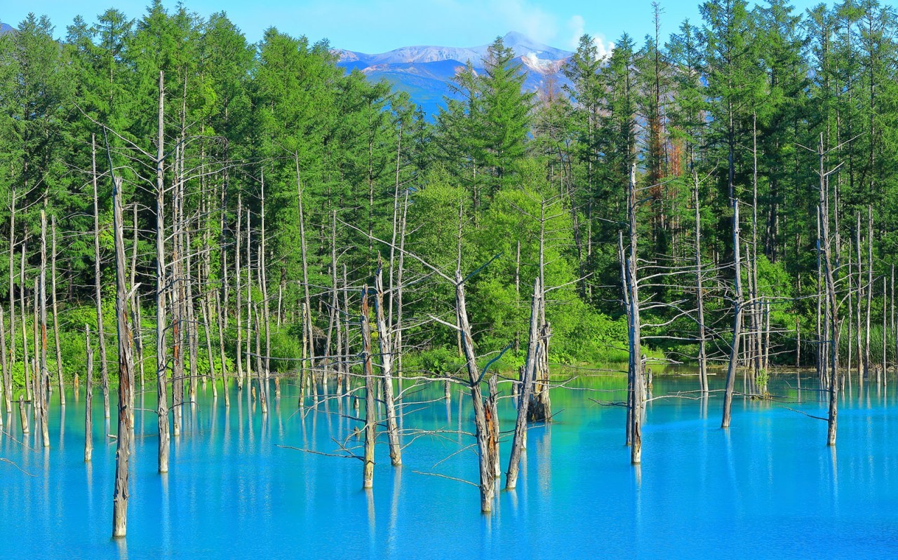 [부산출발] 북해도 품격비에이 3박4일 해외여행 가볼만한곳