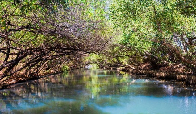 [부산출발] 매력적인 낭만의 항구 도시 가오슝 3박 4일 패키지 해외여행