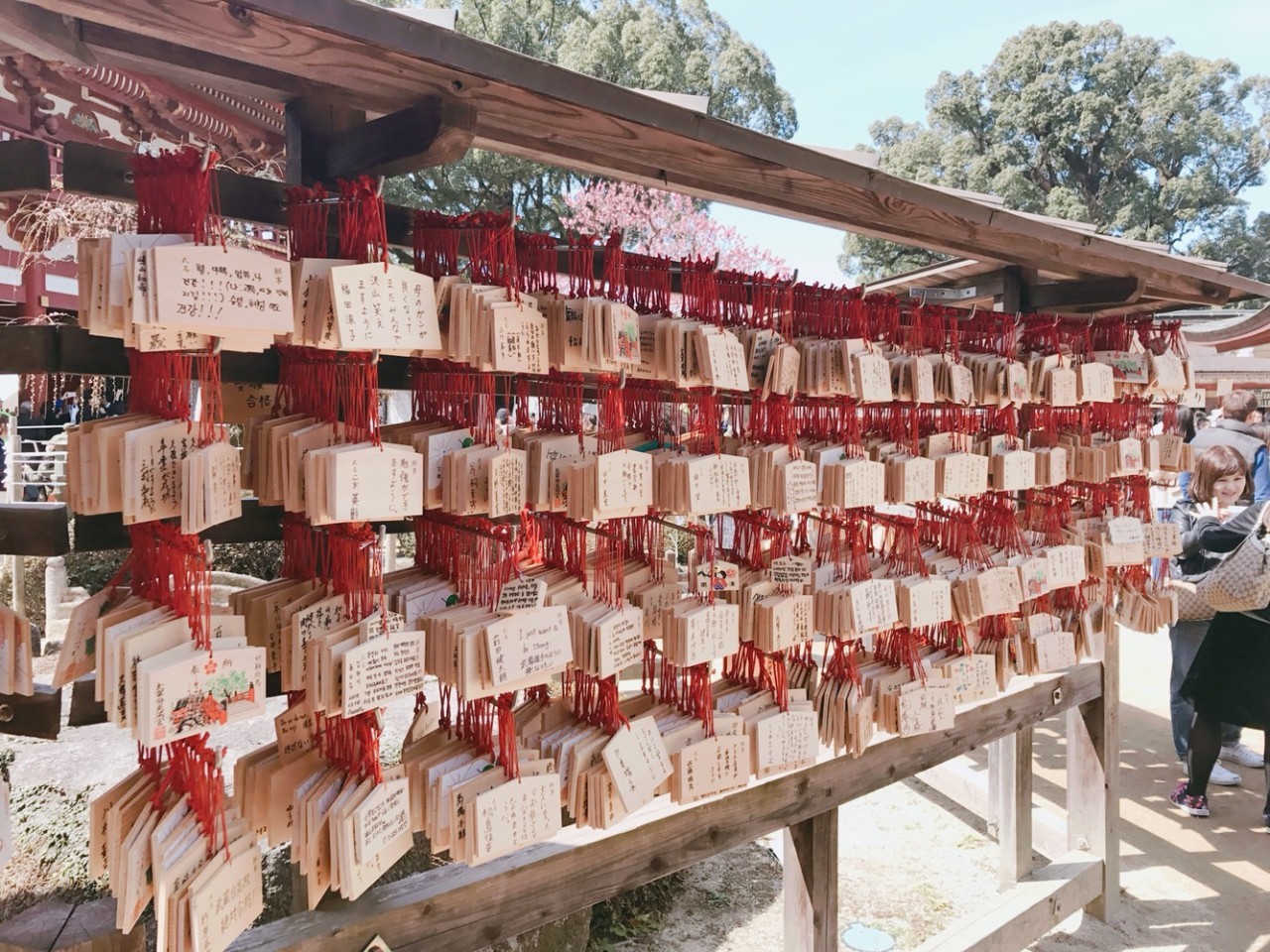 [카멜리아] 일본 큐슈 여유만만 시내+온천 4일 패키지 해외여행