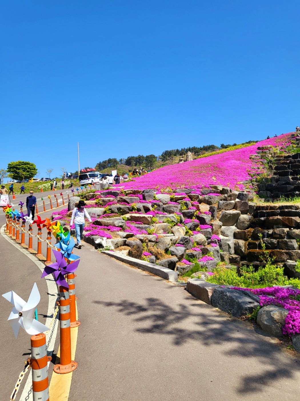황매산철쭉축제 당일여행