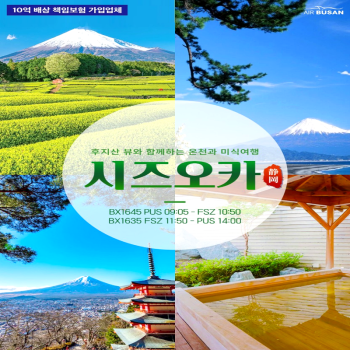 캔디투어[부산출발]일본 시즈오카/카와구치/이즈 핵심일주 3일/4일 해외 패키지여행 강력추천