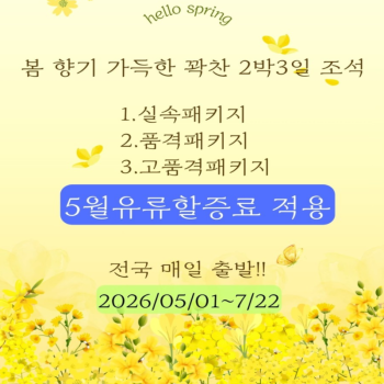 캔디투어[전국출발]봄향기 가득한 제주도 2박 3일 조-석 패키지 국내여행 가족여행 여름휴가