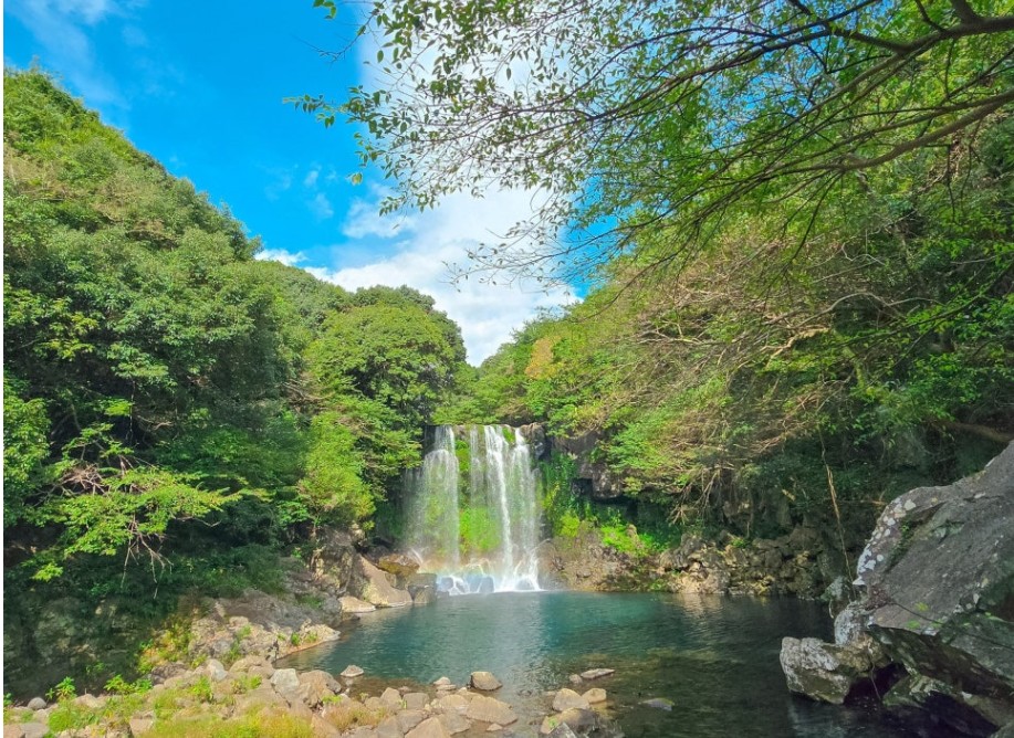 캔디투어[전국출발]수국꽃길 따라 떠나는 여름 제주도 풀옵션 3박 4일 석-조 패키지 국내여행