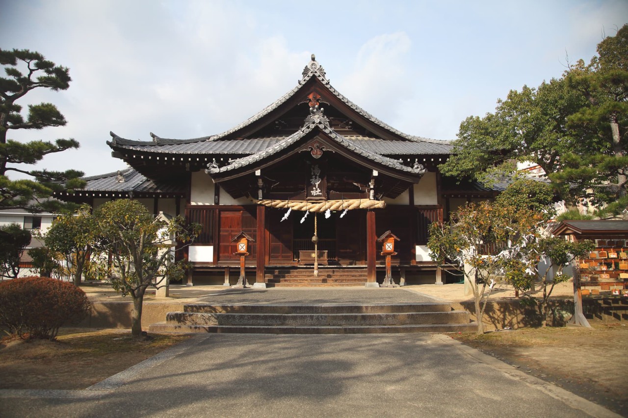 캔디투어[부산출발]일본 마쓰야마 시내 관광+우치코+도고온천 3일/4일 힐링패키지 해외여행