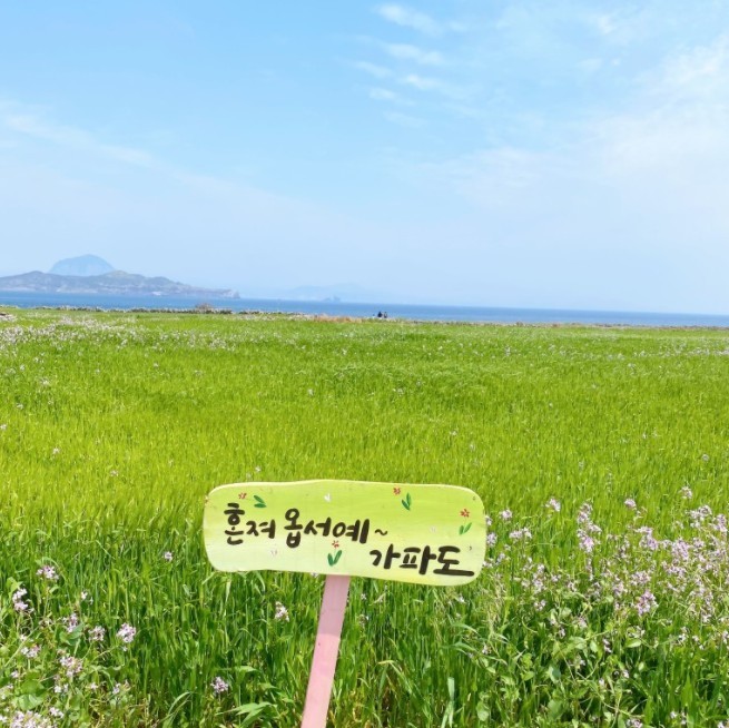 캔디투어[전국출발]제주도 낭만 섬투어 가파도or마라도 택1 3박4일 패키지 국내여행