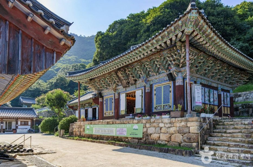 강진수국길축제+백련사+다산초당 당일여행(전라남도)