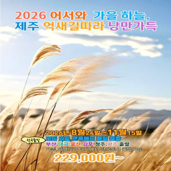 캔디투어[전국출발]제주도 억새길따라 낭만가득 3박4일 국내 패키지여행