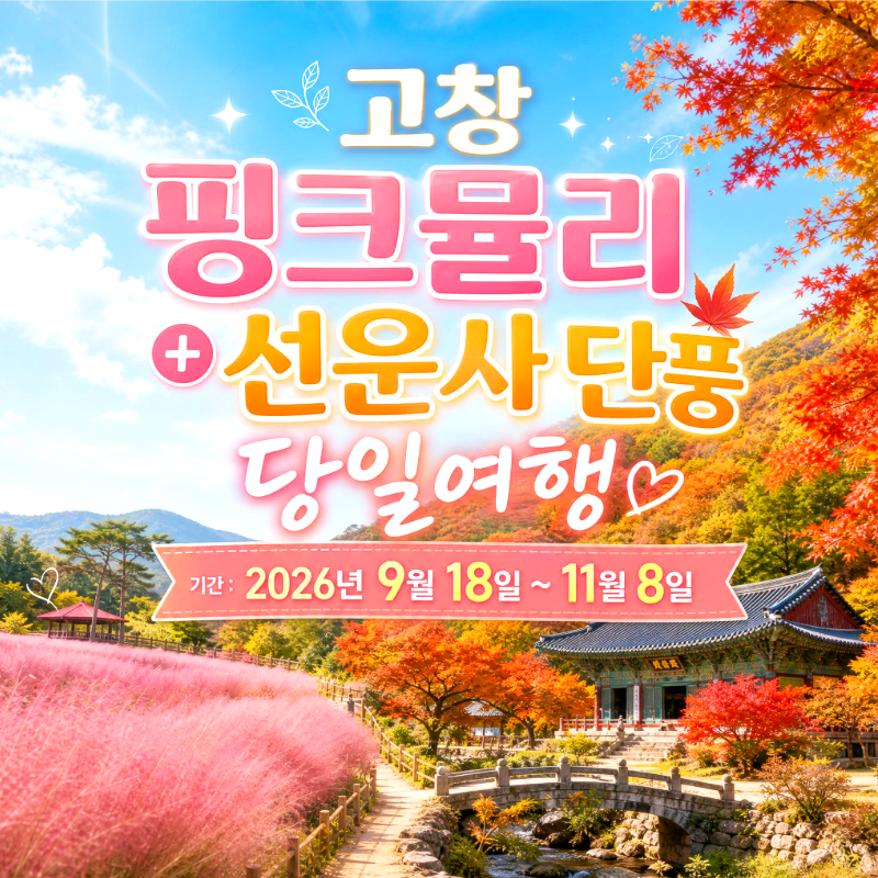 캔디여행사[부산출발]고창 핑크뮬리축제+선운사 단풍여행 당일치기 버스투어 가볼만한곳 경남출발