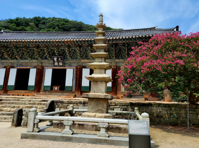 캔디여행사[부산출발]고창 핑크뮬리축제+선운사 단풍여행 당일치기 버스투어 가볼만한곳 경남출발