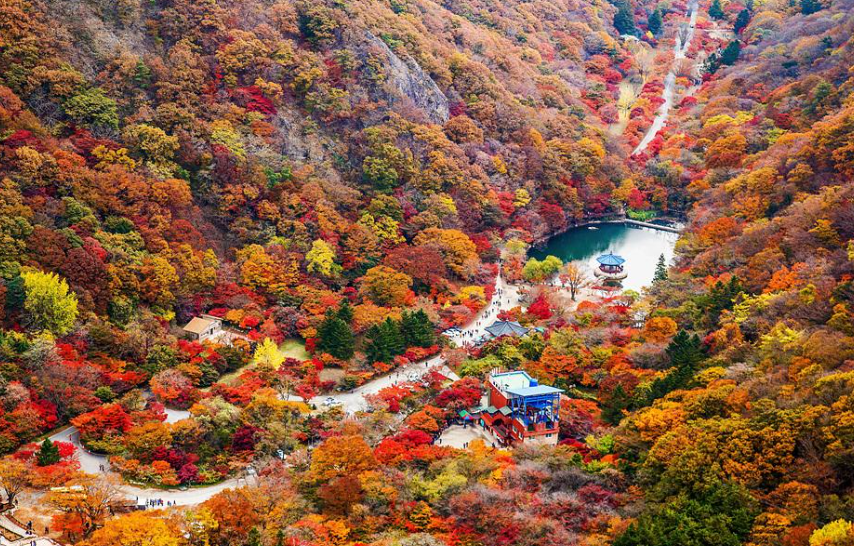 캔디여행사[부산출발]정읍 내장산 단풍 당일여행
