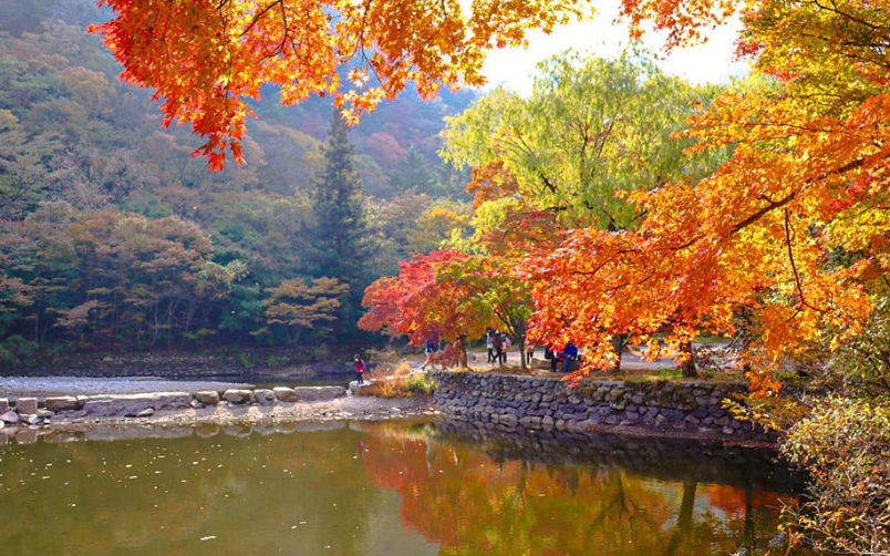 캔디여행사[부산출발]정읍 내장산 단풍 당일여행