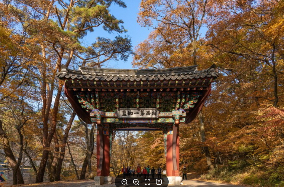 캔디여행사[부산출발]보은 속리산 세조길 단풍 당일여행