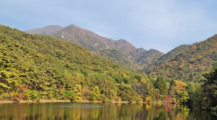 캔디여행사[부산출발]보은 속리산 세조길 단풍 당일여행