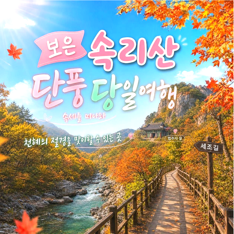 캔디여행사[부산출발]보은 속리산 세조길 단풍 당일여행