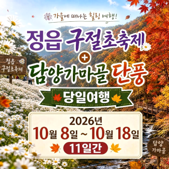 캔디여행사[부산출발]정읍 구절초축제+담양 가마골 단풍 당일여행