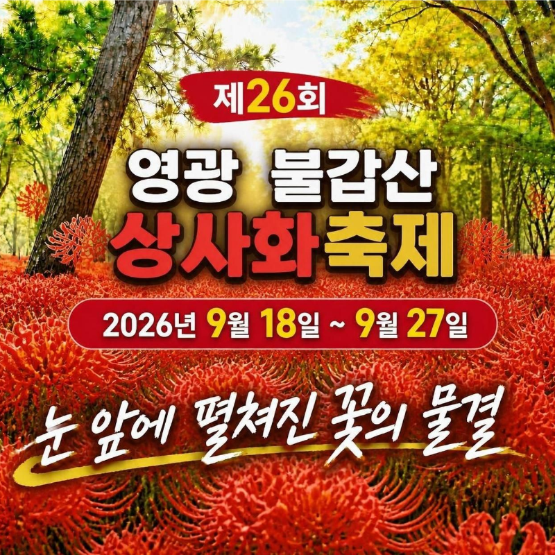 캔디투어[부산경남출발]영광 불갑산 상사화축제 당일 버스여행