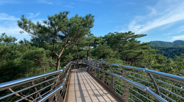 캔디여행사[부산출발]원주 소금산 그랜드밸리+박경리문학관 당일버스여행