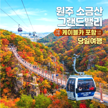 캔디여행사[부산출발]원주 소금산 그랜드밸리+박경리문학관 당일버스여행