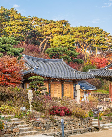 캔디투어[부산경남출발]강화도 심도기행 1박 2일 가을 단풍 버스여행