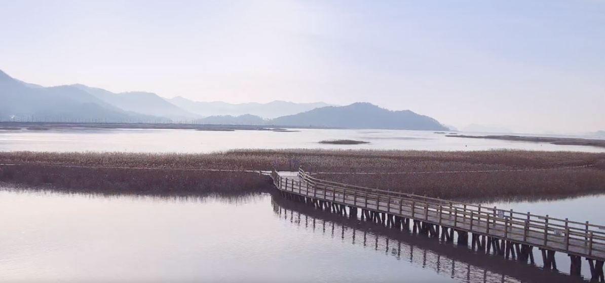 캔디여행사[부산출발]강진만 춤추는 갈대축제+가우도출렁다리 당일버스여행
