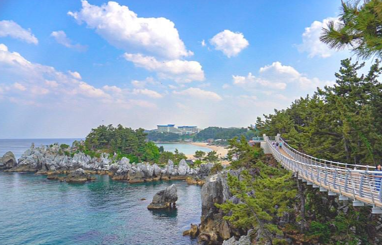 캔디여행사[부산출발]동해 추암해변+도째비골스카이밸리 논골담길 당일치기
